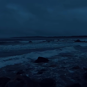 岂不闻光阴如俊马加鞭