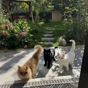 Café Con Leche (sped up)