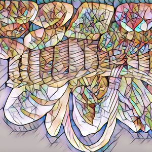 Clinical Hematimeter