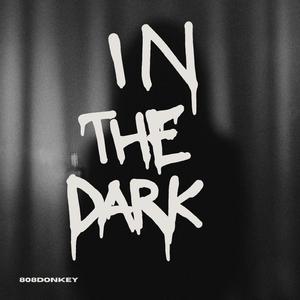 In The Dark
