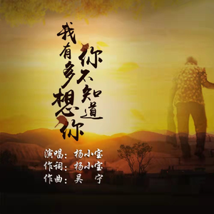 你不知道我有多想你