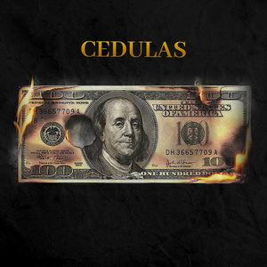 Cedulas