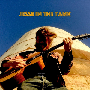 Turkey Vulture (Live)