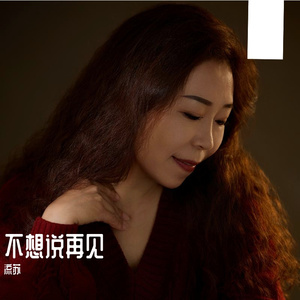 不想说再见（舞曲版）