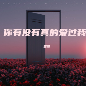 你有没有真的爱过我