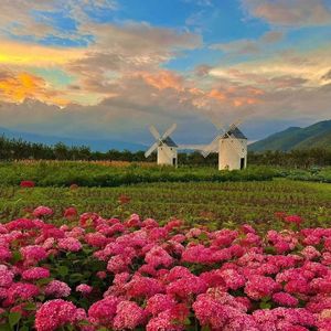 人间彼岸-整曲 伴奏