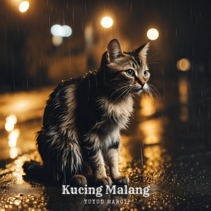 Kucing Malang