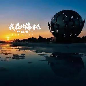 我在北海等你 (伴奏)