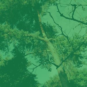 微妙的餐厅心情