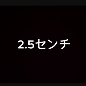 2.5センチ