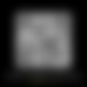 Muay Thai Kick To Face