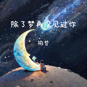 除了梦再没见过你