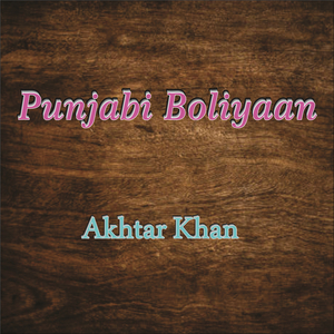 Punjabi Boliyaan (Live)