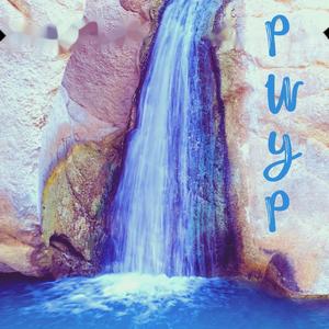 P.W.Y.P.