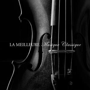 Violin Sonata No.5, Op. 24: I. Allegro