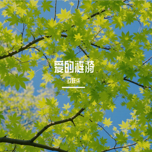 爱的涟漪