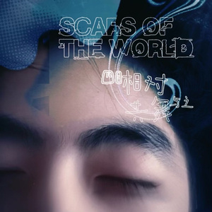 Scars Of The World