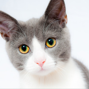 Girls Like Me Don't Cry