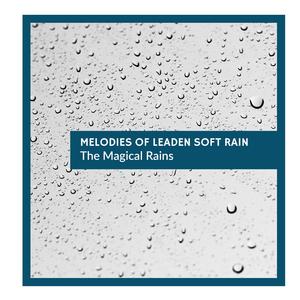 Winged Insects & Birds