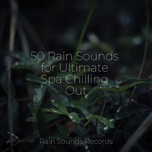 Glistening Streams of Silence