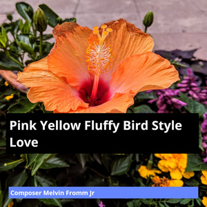 Pink Yellow Fluffy Bird Style Love