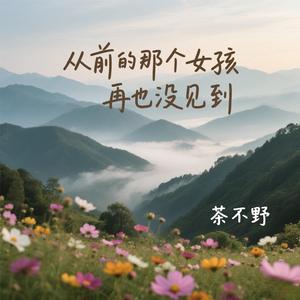 从前的那个女孩再也没见到