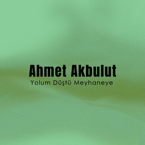 Sevme Dediler Sevdim