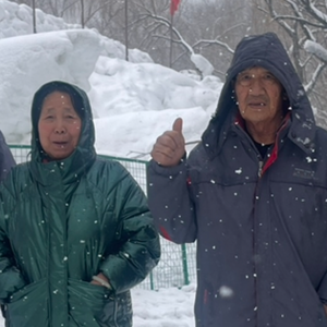 属牛(卧室开窗demo)