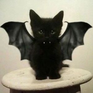 爱♡上你我的手却在颤抖加速版