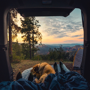 우리만의 비밀이야기