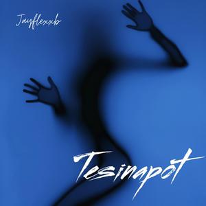 Tesinapot