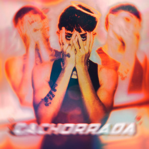Cachorrada