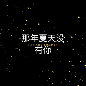 那年夏天没有你