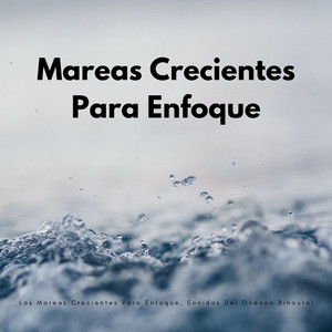 Sonido De La Claridad Del Surf