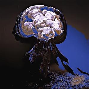Braindrop