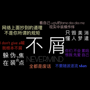 不屑·NEVERMIND（翻自 R1SE姚琛）