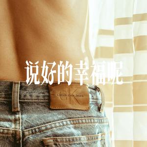 说好的幸福呢 - 温柔男声
