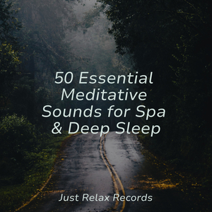 Moonlit Spellbound Lament