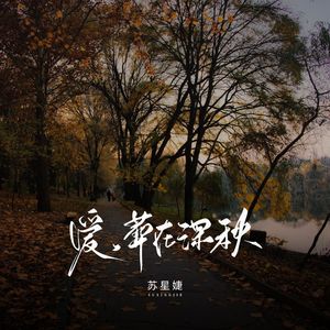 爱,葬在深秋