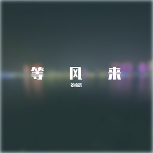 等风来