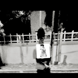 Tipu