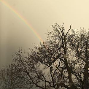 𝐞𝐯𝐞𝐫𝐲𝐭𝐡𝐢𝐧𝐠 𝐬𝐞𝐞𝐦𝐬 𝐭𝐨 𝐝𝐢𝐬𝐚𝐩𝐩𝐞𝐚𝐫