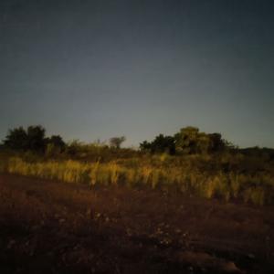 七月（上古汉语）