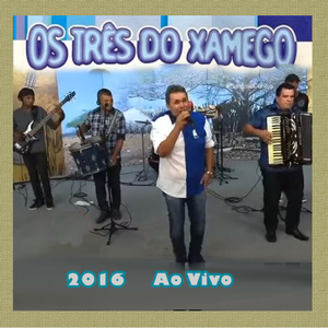Reincidência - OS TRÊS DO XAMEGO