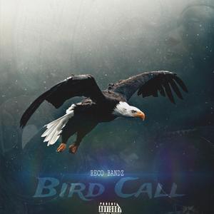 Bird Call
