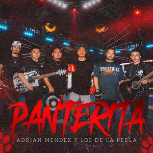 Panterita