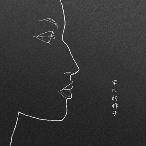 平凡的样子（Cover 韩磊）