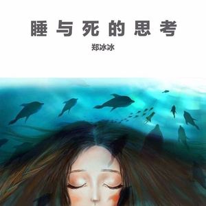 睡与死的思考 (Demo)