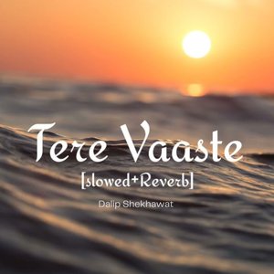Tere Vaaste Falak Se (Slowed & Reverb)