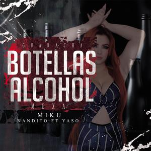 Botellas y Acohol (feat. Dj Yaso & Miku)
